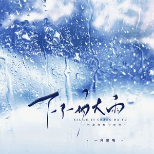 下了一场大雨 (淋湿我整个世界)