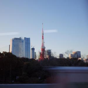 Skytree September Signal