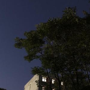 有可能的夜晚（cover 曾轶可）