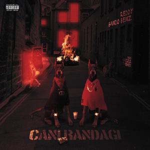 Cani Randagi (feat. BandoBenz)