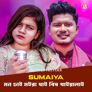 Mon Chai Moira Jai Bish Khaiyalai (Slowed+Reverb)