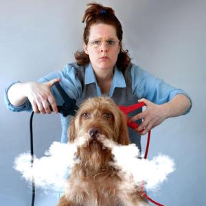 Zombiebrokjes (feat. Timon Koomen & Adrian Ammerlaan) (Live version)