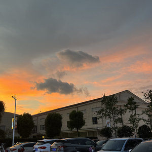 我看了56次日落