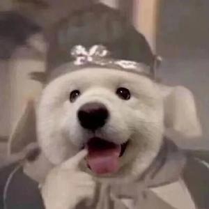 一个人还是想着一个人