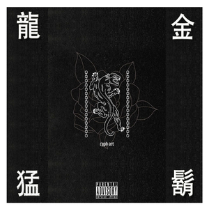 说唱忍者奇拉比