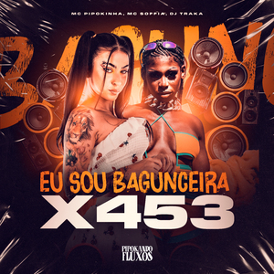 Eu Sou Bagunceira X 4 5 3