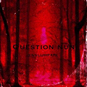 Question nun
