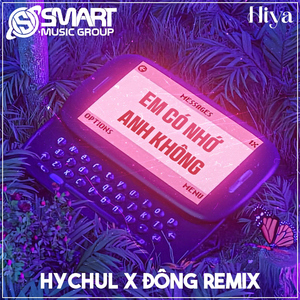 Em Có Nhớ Anh Không (Remix)