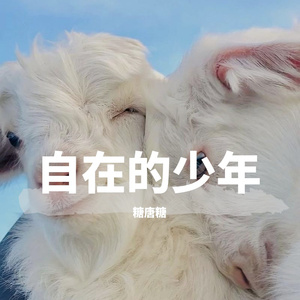 自在少年