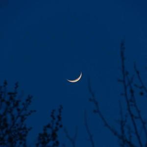 莫名我就喜欢你