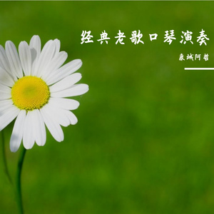 让我欢喜让我忧（哲哲口琴）