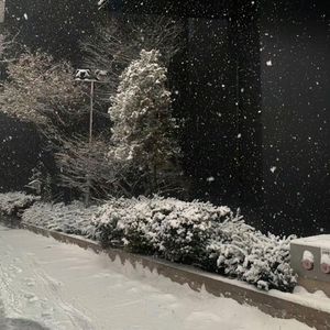 臆想症（Prod.Kimmy）