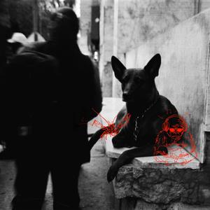 A Freestyle About Nothing