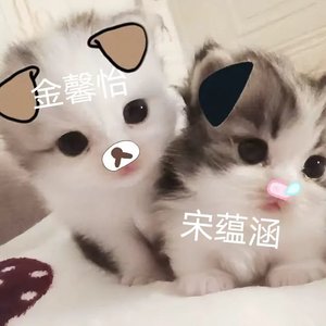 宋蕴涵and金馨怡