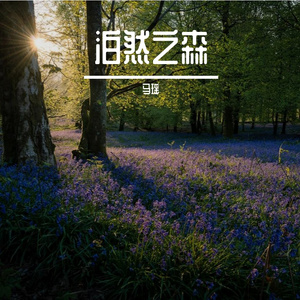 泊然之森（钢琴曲）