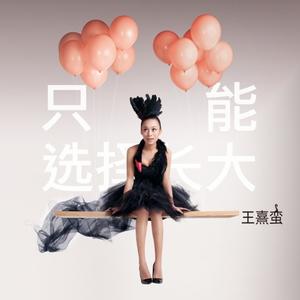 喵了个咪的回忆