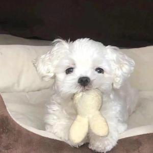 把昨天都作废 .