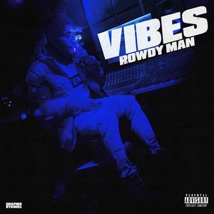 VIBES