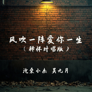 风吹一阵爱你一生(释怀对唱版)