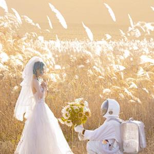 叶上之光（双吉他弹奏）（翻自 东神吉忘）