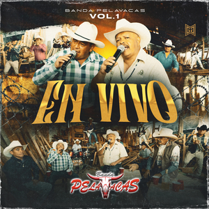 Pichatarito (En Vivo)