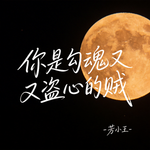 你是勾魂又盗心的贼（原版）