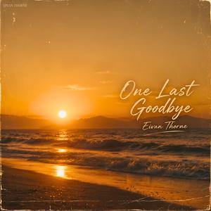 One Last Goodbye