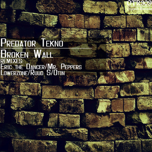 Broken Wall (Mr. Peppers Remix)