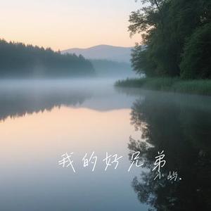 我的好兄弟 (Cover 高进)