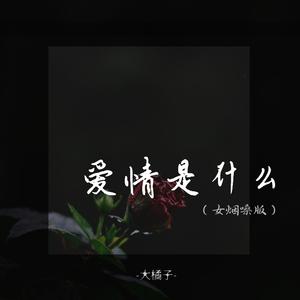 爱情是什么 (DJ女烟嗓版)