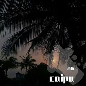 麻园诗人-晚安（菜脯 ）