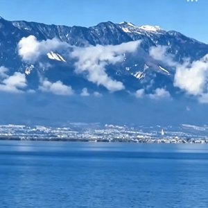 星铃落洱