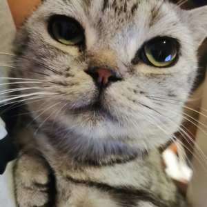 Hans Zimmer-Cornfield Chase（我等风亦等你 remix）