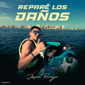 Repare los Daños