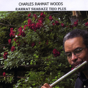 Monk's Dream (feat. David Ornette Cherry, Derek Gasque & Roger Stewart)