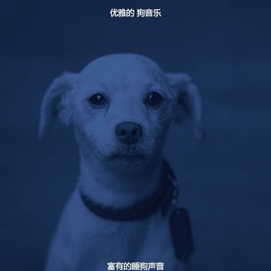 一尘不染幼犬印象数