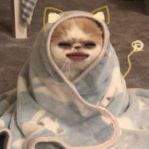 暴风雨-就是哈比版（翻唱）