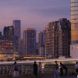 楼顶上的小斑鸠