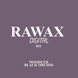 Black Orchid (Original Mix)