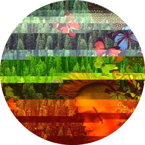 Cats (Transmutated Mix)