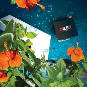 Mola (Bloody Mary Remix)