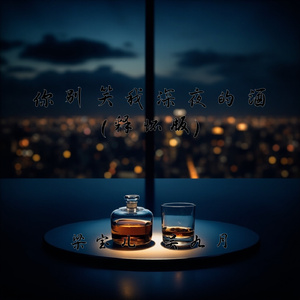 你别笑我深夜的酒(释怀版)
