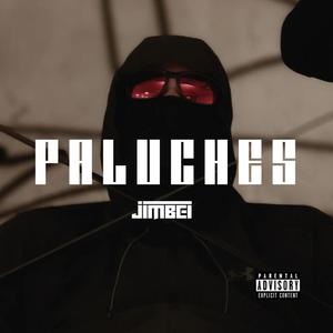 PALUCHES