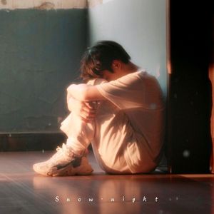 雪落之夜(snow night)