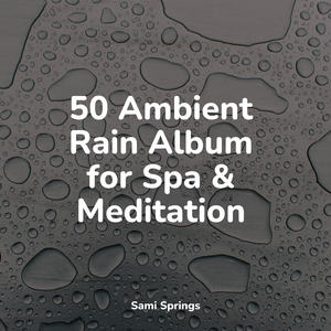 Splish Splash Rains