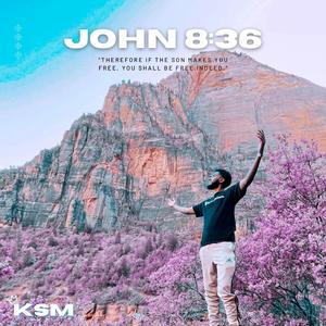 John 8:36