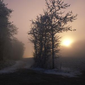 吹梦到西洲（四合院版本）