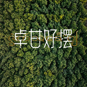 卓甘好摆（勐腊2026泼水节主题曲）