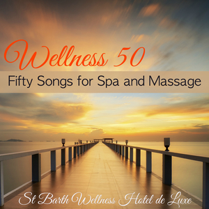 Pure Massage Music