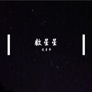 数星星
